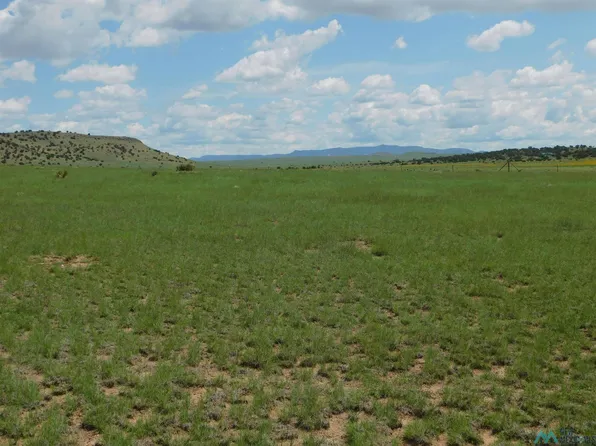 26 Quail Rd, Quemado, NM 87829