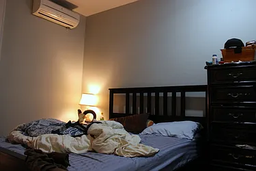 Rented by GFI Realty Services LLC