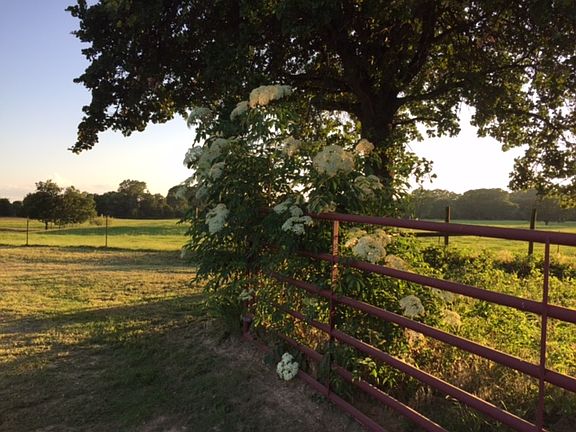 Located at end of county rd.