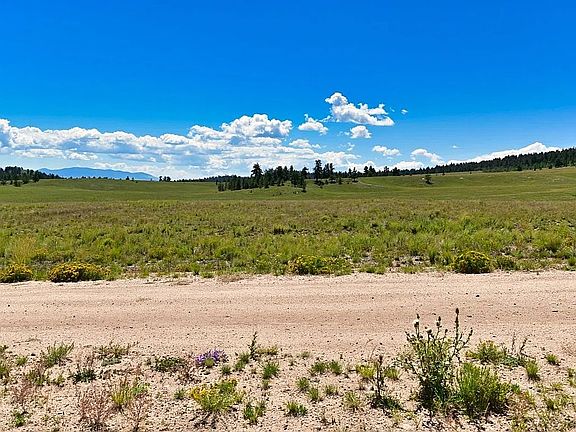 3rd image of 713 Navajo Trl