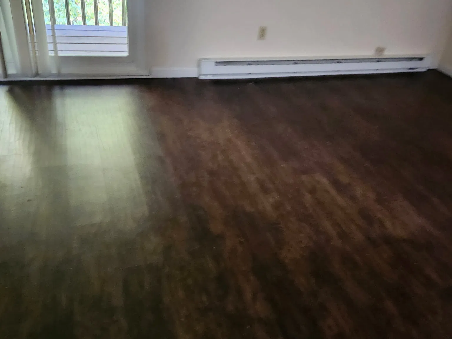 2 bed, 800 sqft, $1,200 — Photo 2