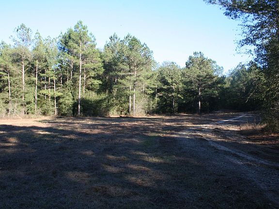 2nd image of 24 Hse Ocmulgee Banks Way