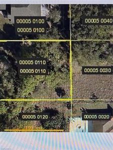 1904 Curry AVE N, Lehigh Acres, FL, 33971