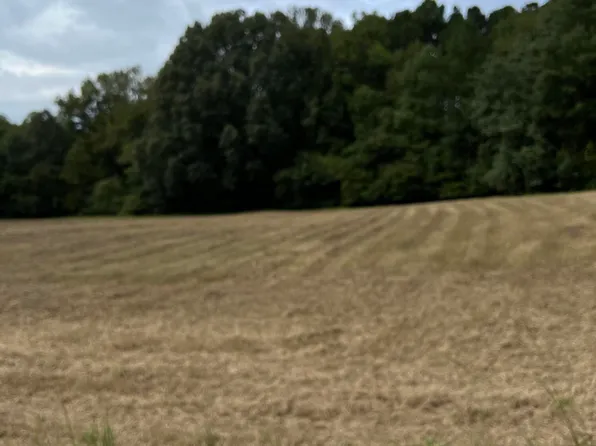 LOT 4 Us Highway 264a Lot 4, Bailey, NC 27807