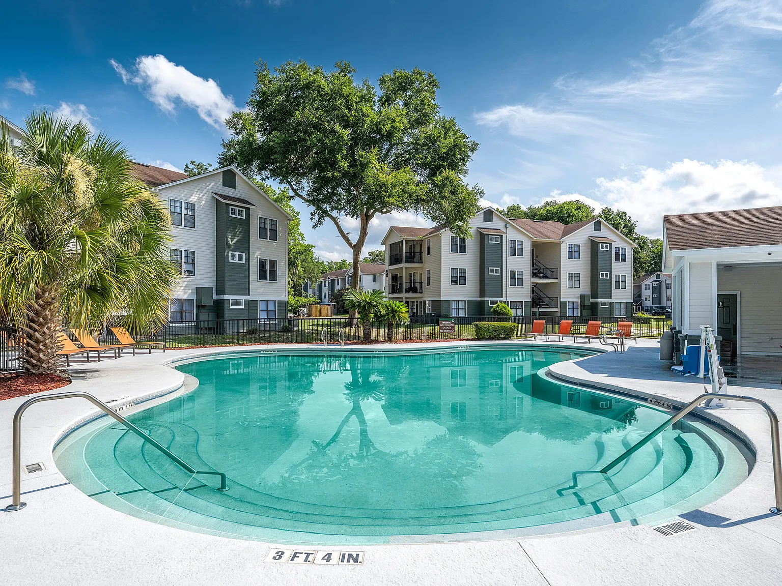 Forest View Apartments — Photo 3