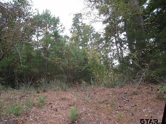 5th image of 0 N State Highway 155 Tract 1