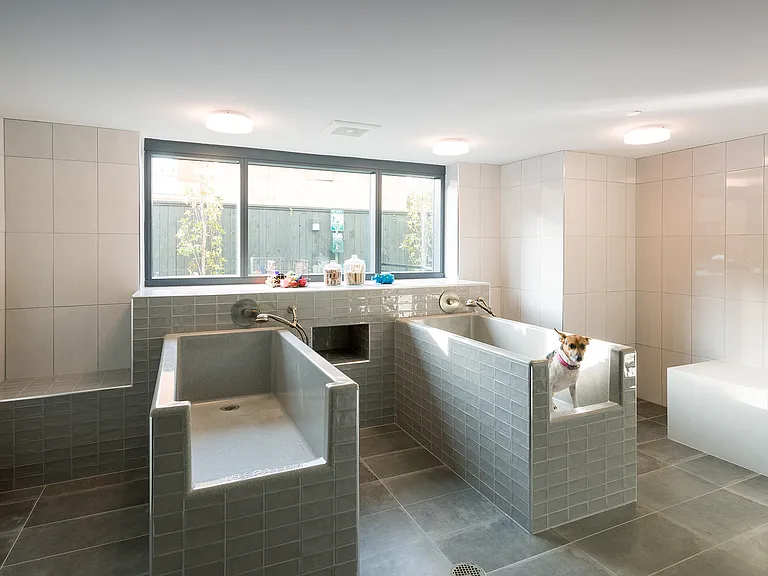 Pet-friendly living with on-site dog spa