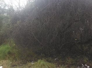 17620 Bill Taylor Rd, Lithia, FL 33547