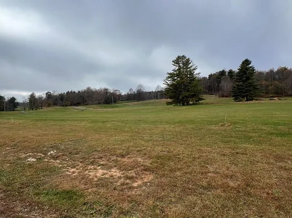 Holly Ln, Fancy Gap, VA 24328