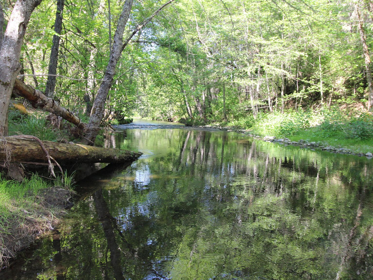 20219 Williams Hwy, Williams, OR 97544 MLS 220164917 Zillow