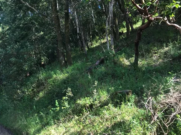 0 Piper Lane Lane, Fairfax, CA 94930