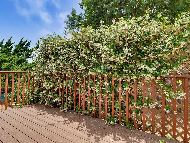 7134 Hybeth Dr — Photo 37