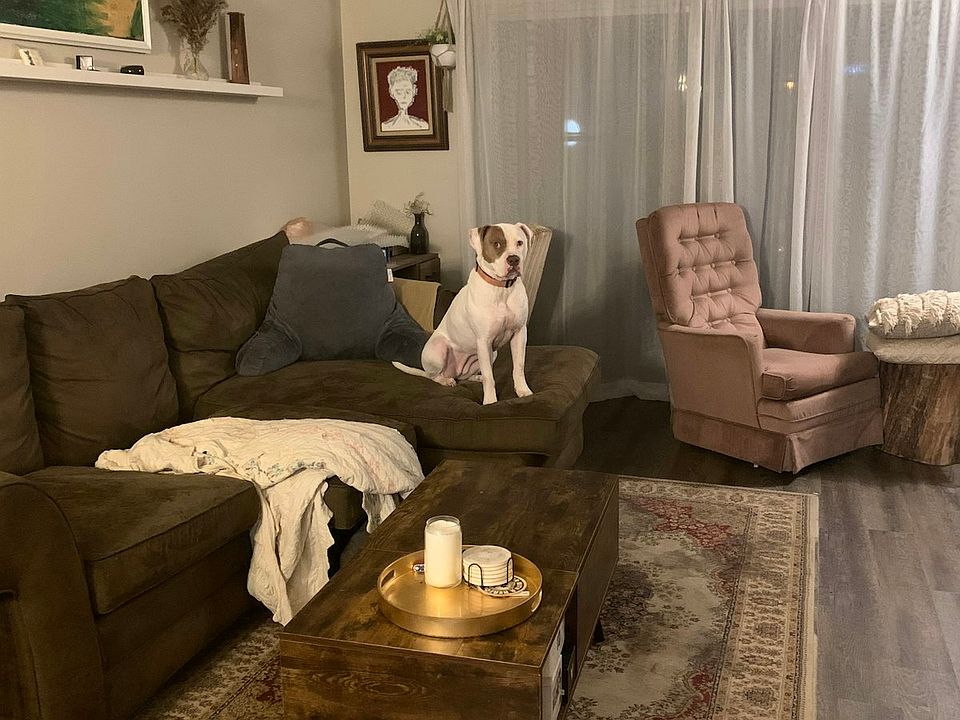 New larger area rug since photo was taken (New photos coming soon)