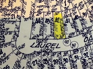 Tbd42 Laurel Oak #42-LOT 12-1, Trinity, TX 75862