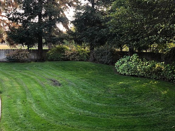 Redwoods and pine trees give this ranch home quite the mountain appeal. Birds really love it here!!