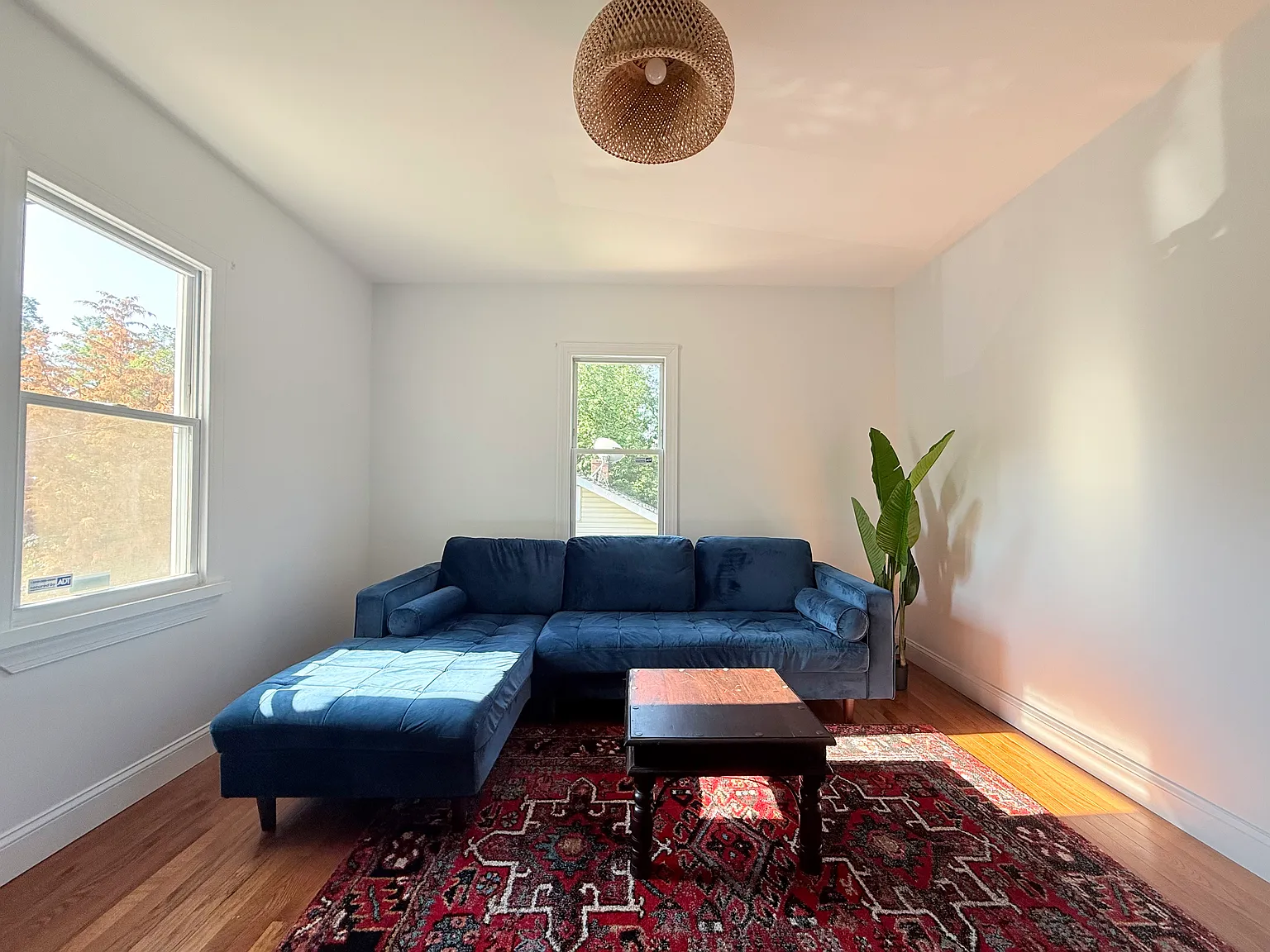 1 bed, 1260 sqft, $995 — Photo 1