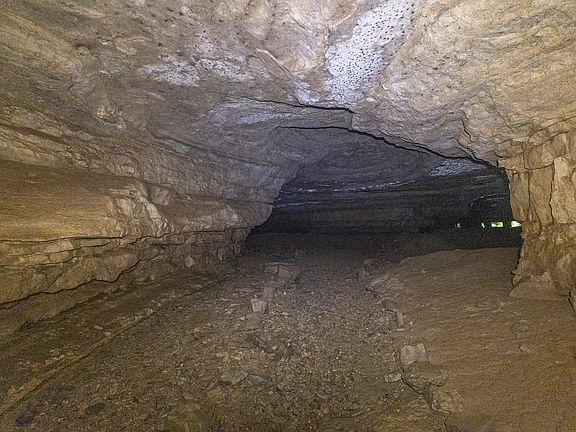 65th image of this home