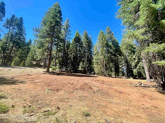 5th image of 601 Deepforest Rd