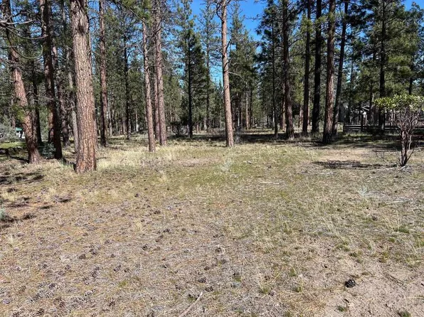 5-3 Hogan Dr Lot 141, Weed, CA 96094