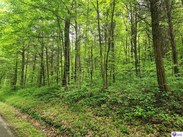 2 E G Nash Rd, Roundhill, KY 42275