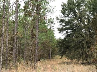 LOT 3 NE 74th Ave, High Springs, FL 32643
