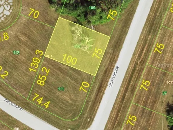 12539 BLUE MARLIN ROAD LOT 110, PLACIDA, FL 33946