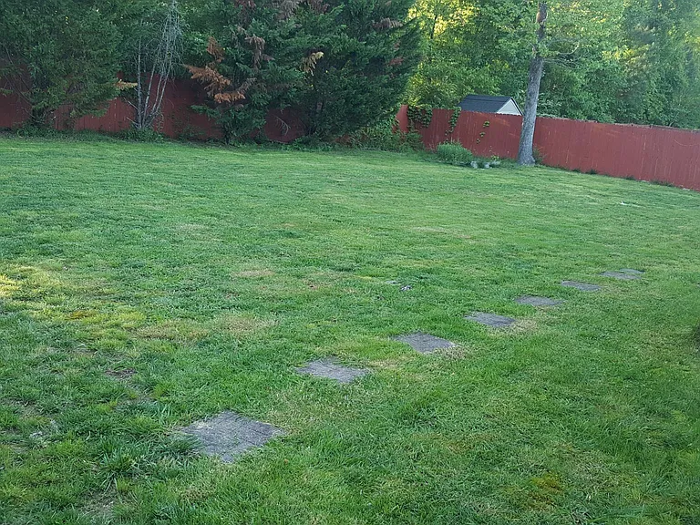 Backyard 3