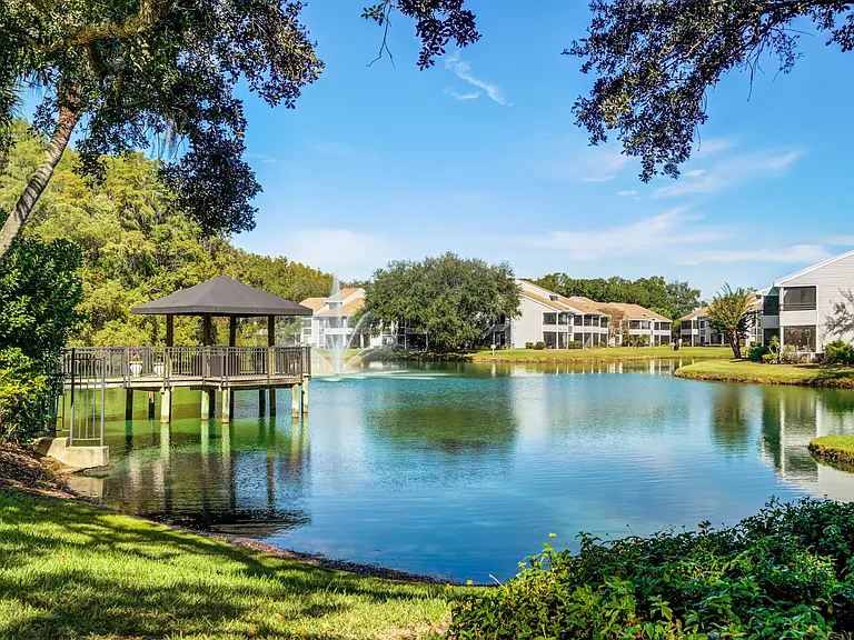Beautiful Lake Views