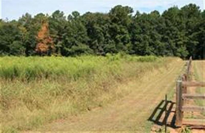 1st image of 26.79 Ac Jordans Mill Rd