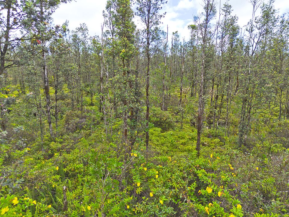 2nd image of Road 7 Opeapea Lot 4732