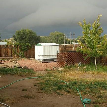 large back yard with 2 trees