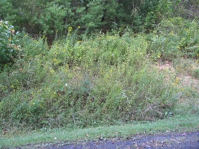 2nd image of Lot 4 Natie Road