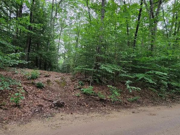 Map 22 - Lot 60 Red Oak Road, Barnstead, NH 03225