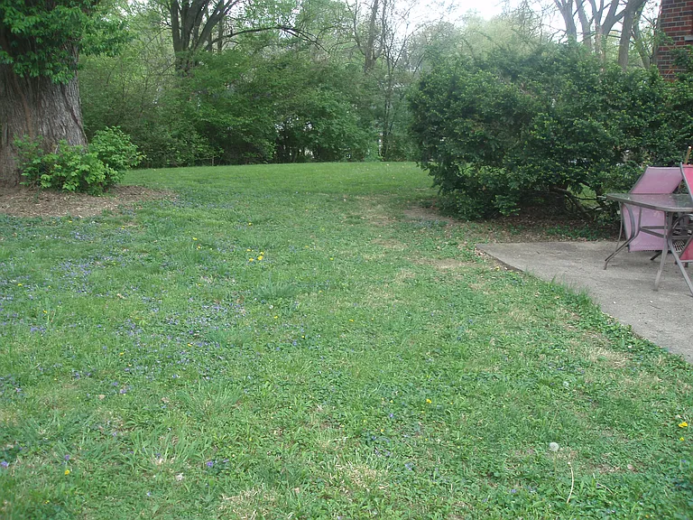 side patio, side yard