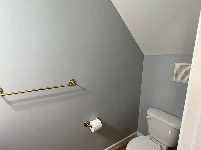 Downstairs hall bathroom