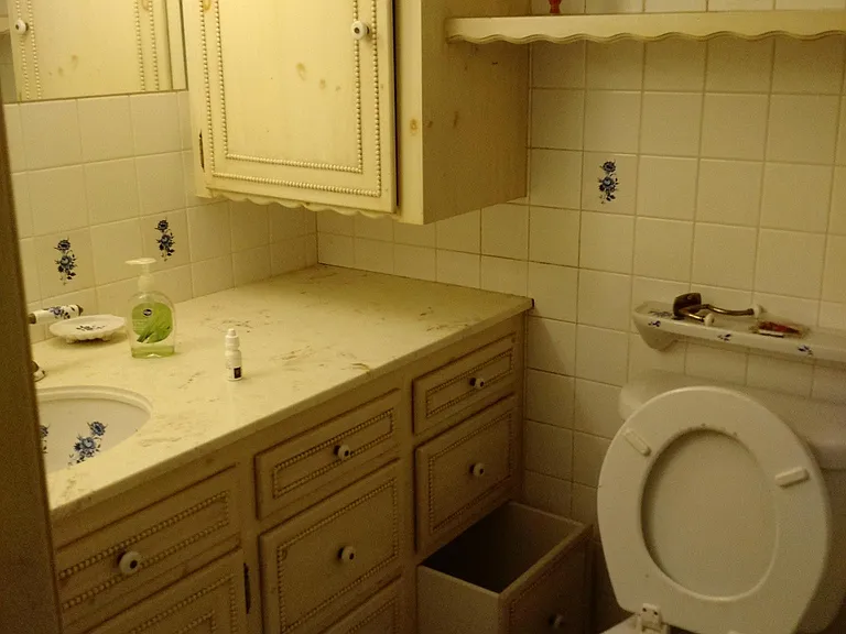 Loft 1/2 bath