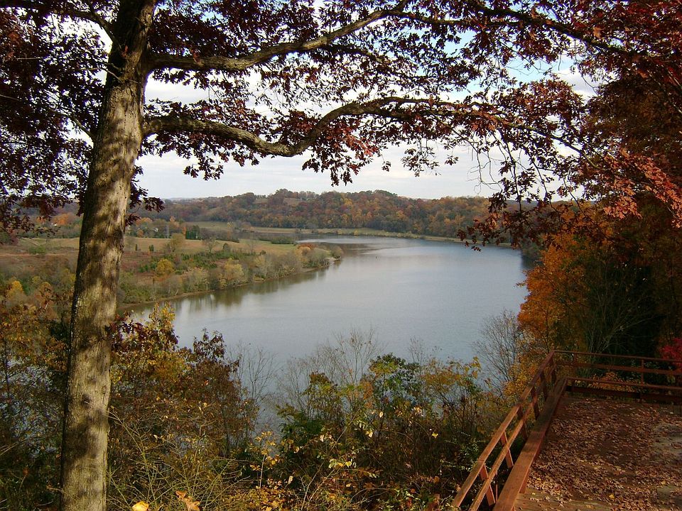 View  from Back Patio