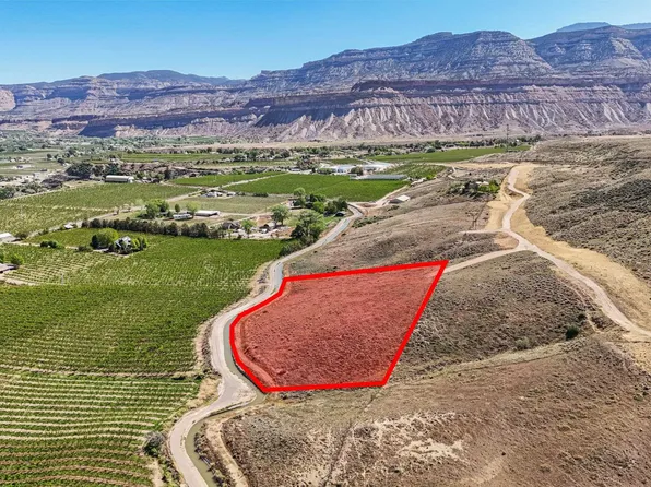 3750 Horse Mountain Rd, Palisade, CO 81526