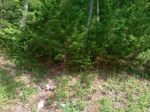 LOT 233 Stone Cliff Dr, Ellijay, GA 30536