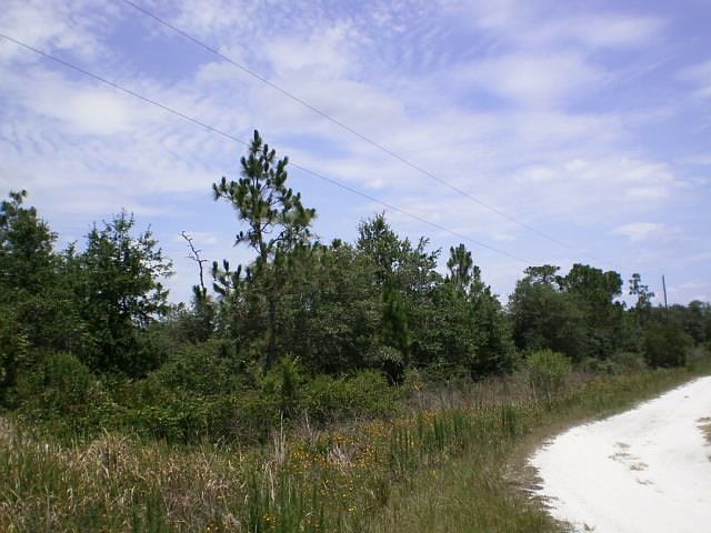 2nd image of 7701 SW Fox Run Trl