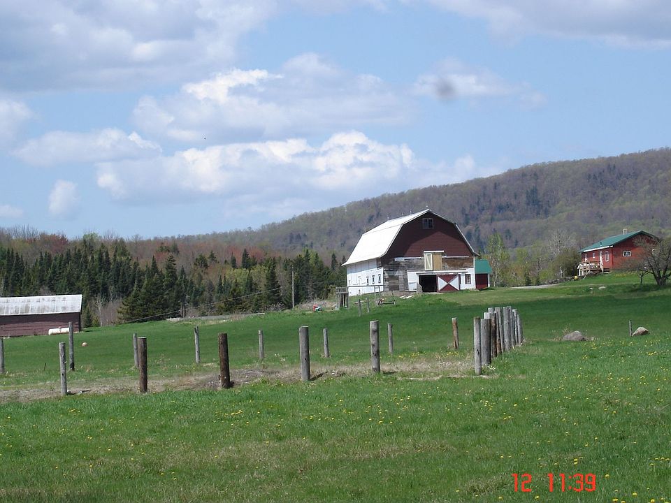 barn/house/out buildings