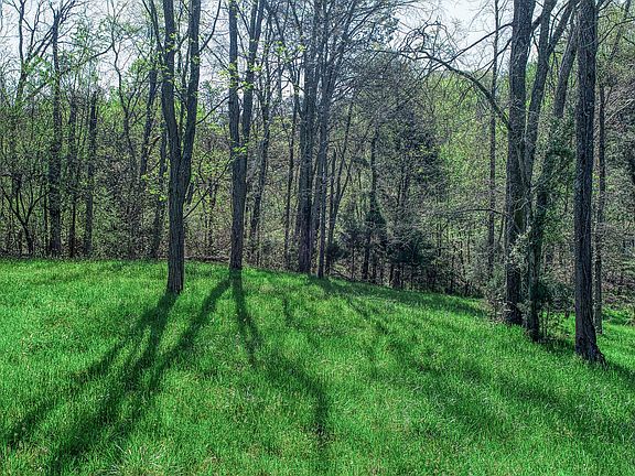 5th image of LOT-28R Walnut Bend Dr