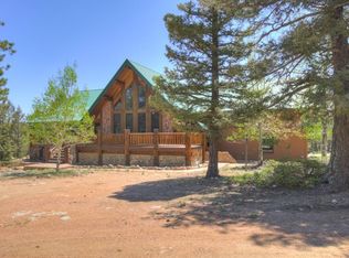206 Badger Cir, Lake George, CO 80827