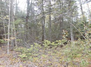 16872 S Wilwin Rd, Trout Lake, MI 49793