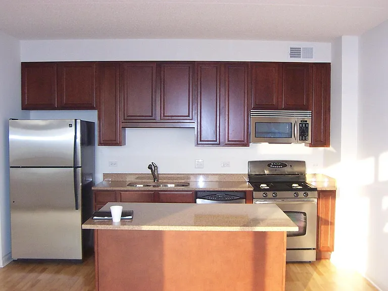 1250 S Indiana Ave #1001 — Photo 4