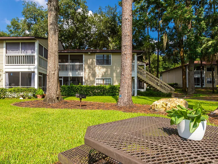 Have a delightful picnic with family at our lovely picnic area, surrounded by lush green grass and shading pine trees.