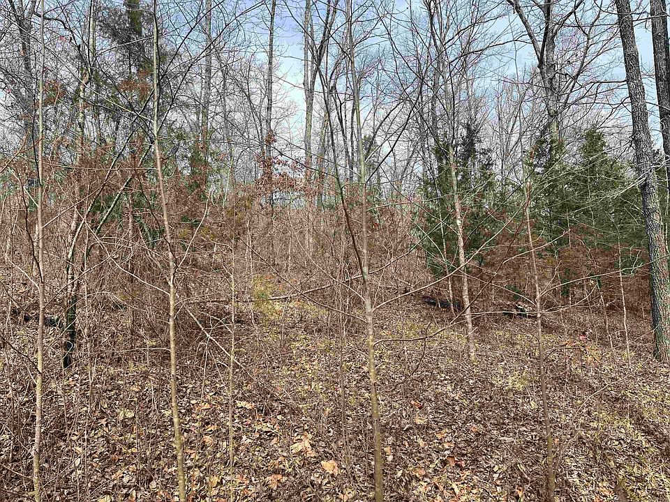 1st image of 0 End Line Rd