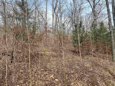 0 End Line Rd, Marshall, AR, 72650