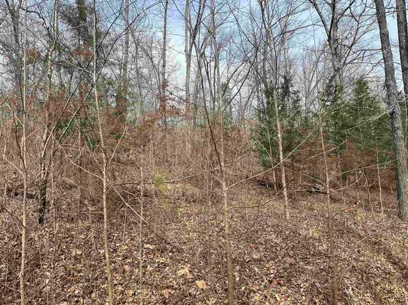 0 End Line Rd, Marshall, AR 72650