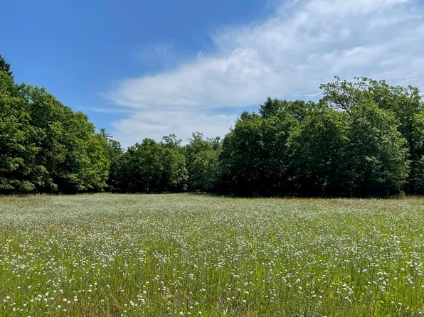 10652 N River Rd #E, Irons, MI 49644